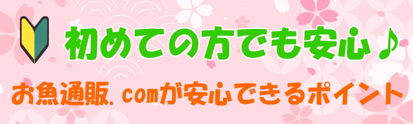 お魚通販.com 安全