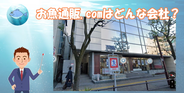 お魚通販.com TOP